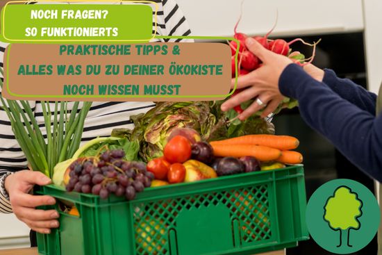 Ökokiste mit regionalem Bio Obst und Gemüse