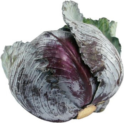 Produktfoto zu Rotkohl