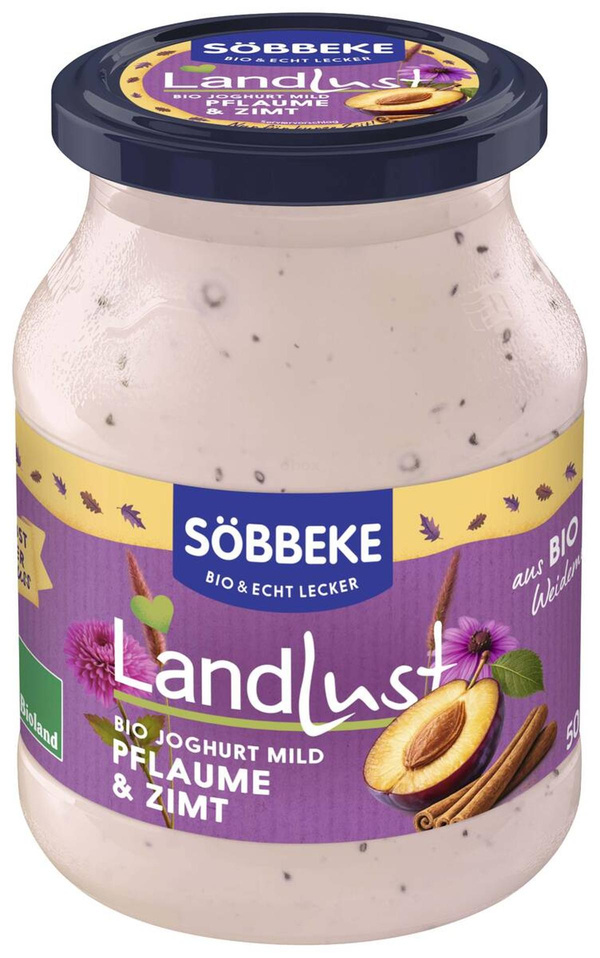 Produktfoto zu Winterjoghurt Pflaume Zimt SB