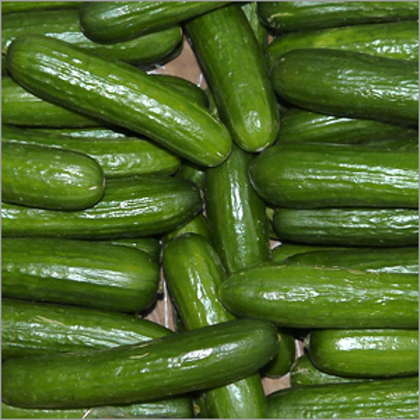 Produktfoto zu Minigurken ca. 200g