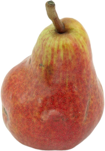 Produktfoto zu Birne Novembra