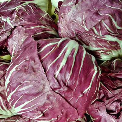 Produktfoto zu Radicchio Castel Franco eigene