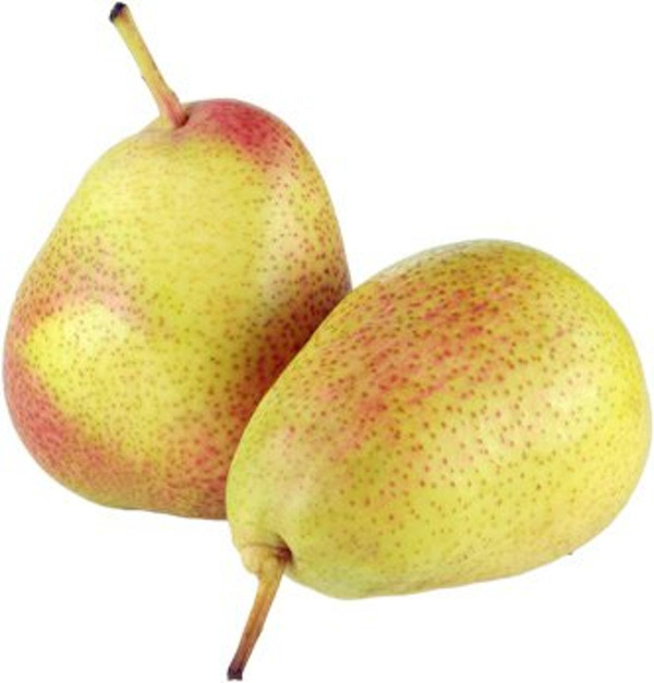 Produktfoto zu Birne Guyot