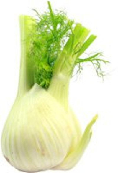 Produktfoto zu Fenchel