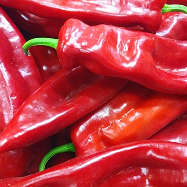 Produktfoto zu Spitzpaprika rot