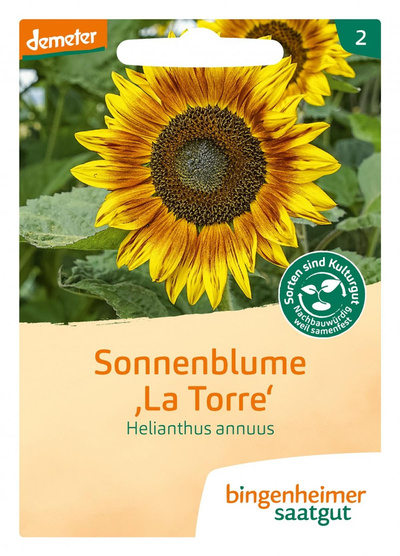 Produktfoto zu Sonnenblume La Torre