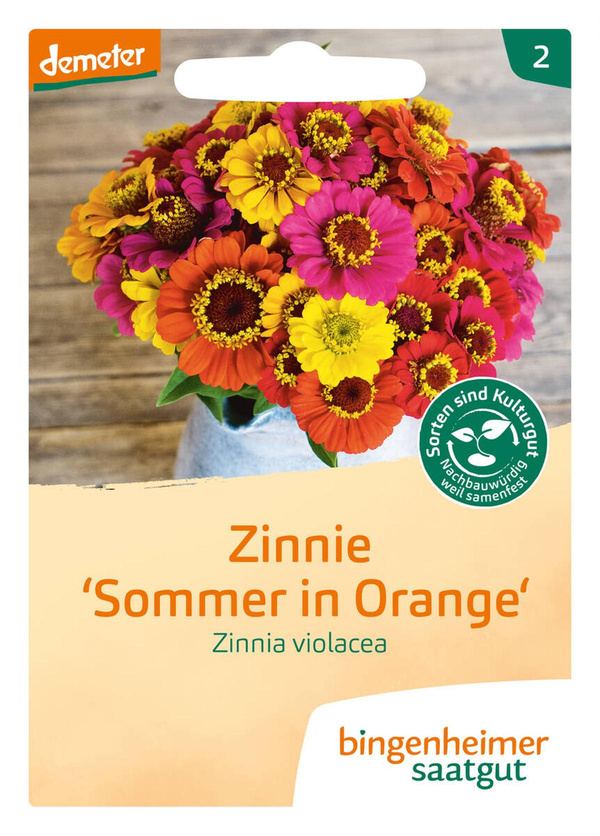 Produktfoto zu Zinnie "Sommer in Orange"
