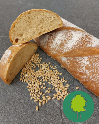 KI generiert: Baguette, Weizenkörner und ein grünes Baum-Logo auf grauem Hintergrund.