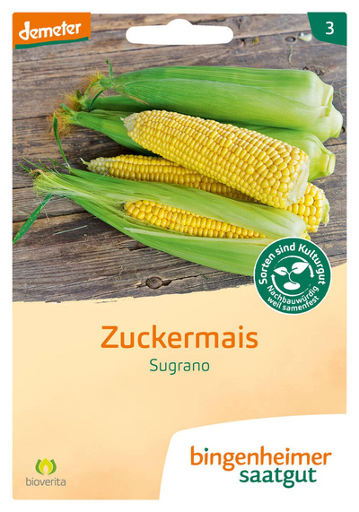 Produktfoto zu Zuckermais "Sugrano"