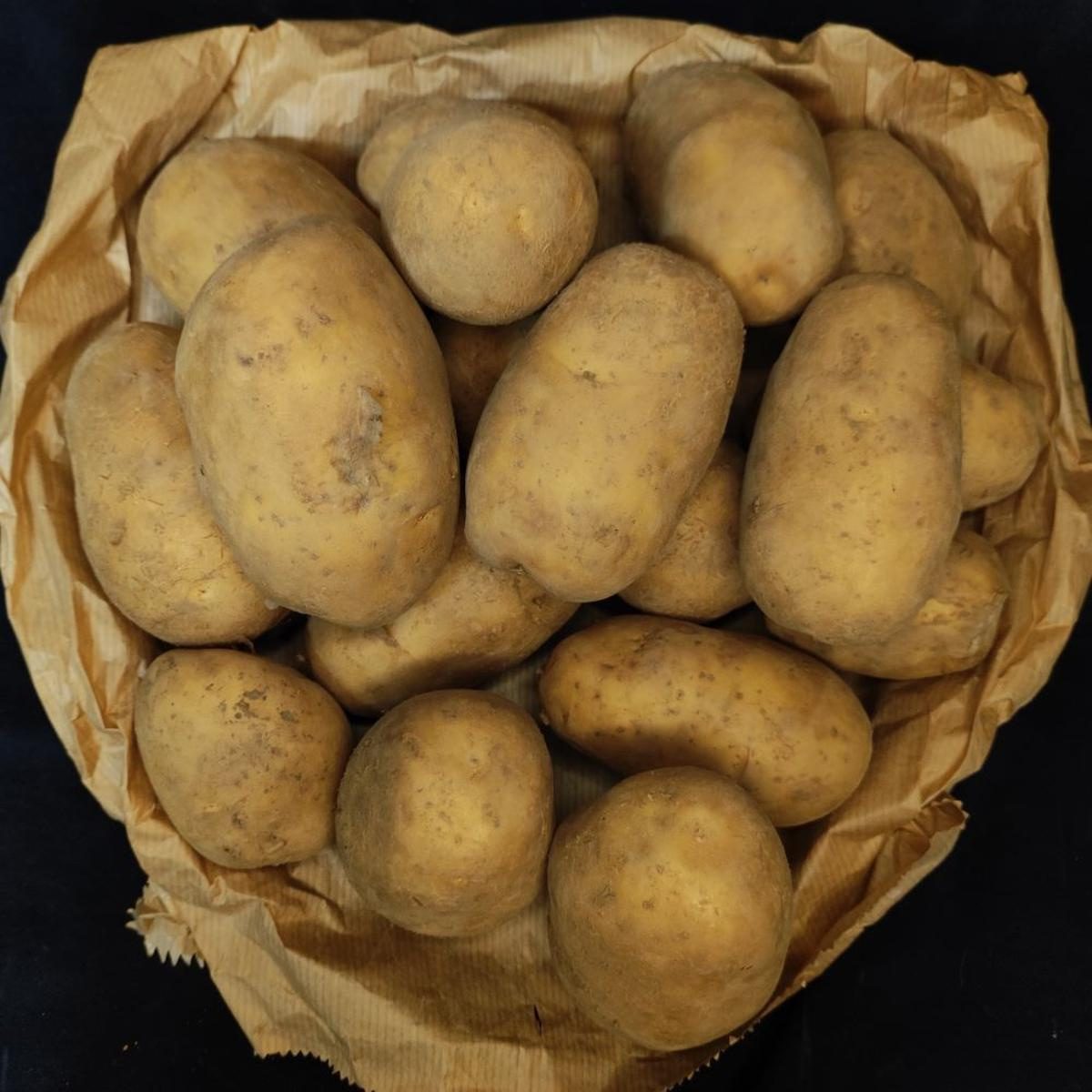 2,5kg Tüte Kartoffeln vfk eige