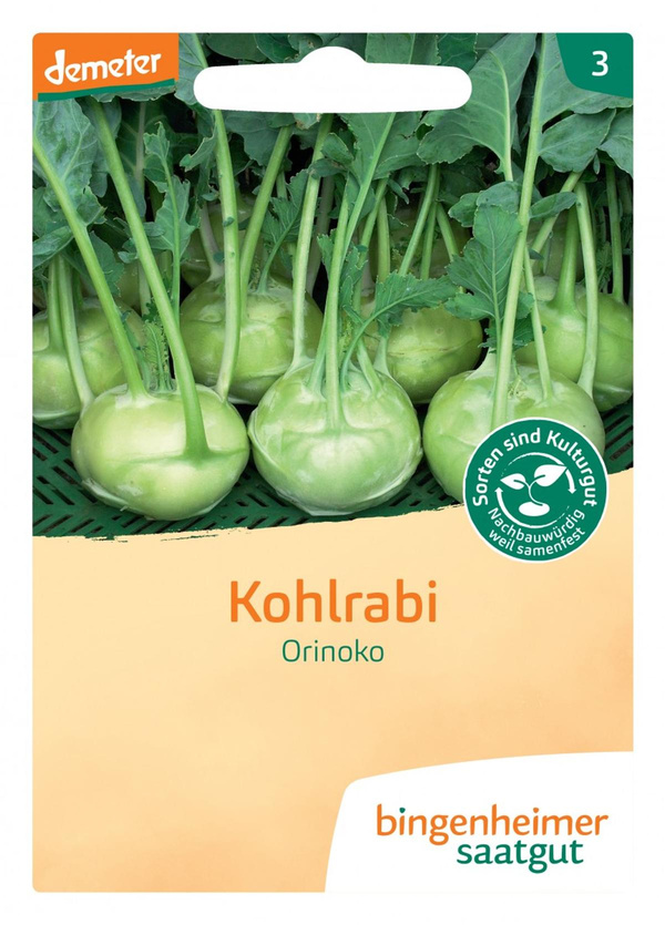 Produktfoto zu Kohlrabi Orinoko, weiß