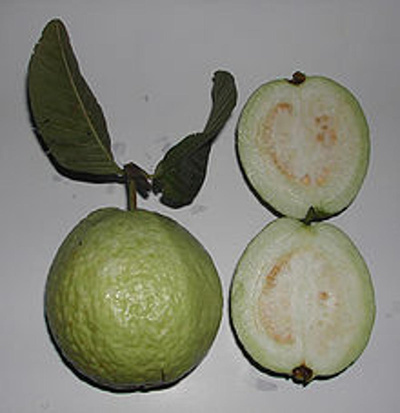 Produktfoto zu Guave