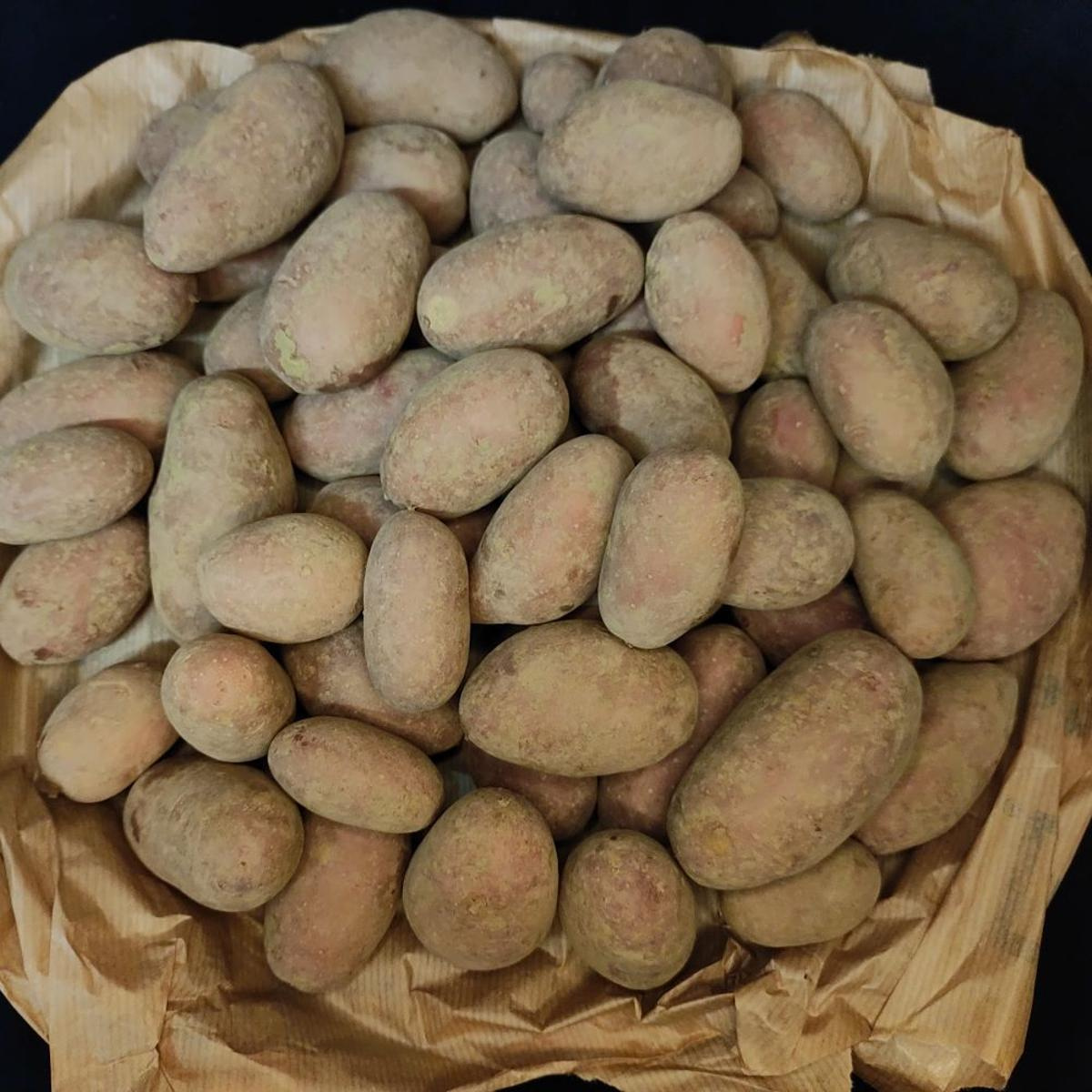 2,5kg Tüte Kartoffel mehlig
