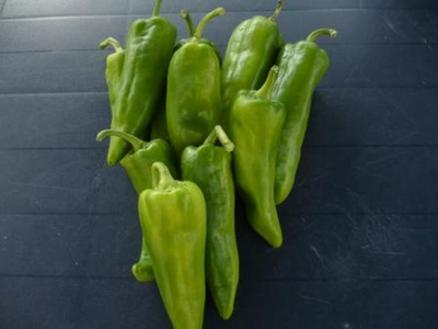 Produktfoto zu Spitzpaprika grün EIGEN