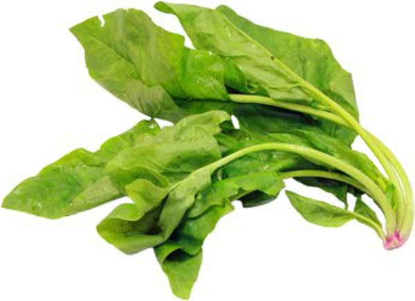 Produktfoto zu Spinat eigener Anbau
