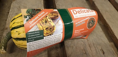 Produktfoto zu Delicata-Kürbis eigener Anbau