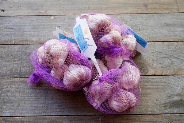 Produktfoto zu Knoblauch frisch