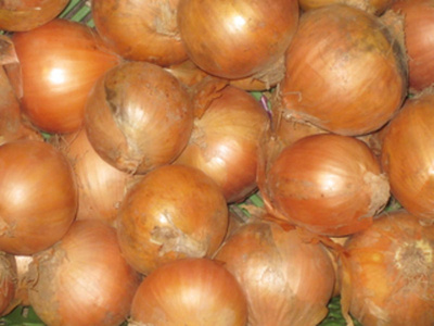 Produktfoto zu Gemüsezwiebel Eigen