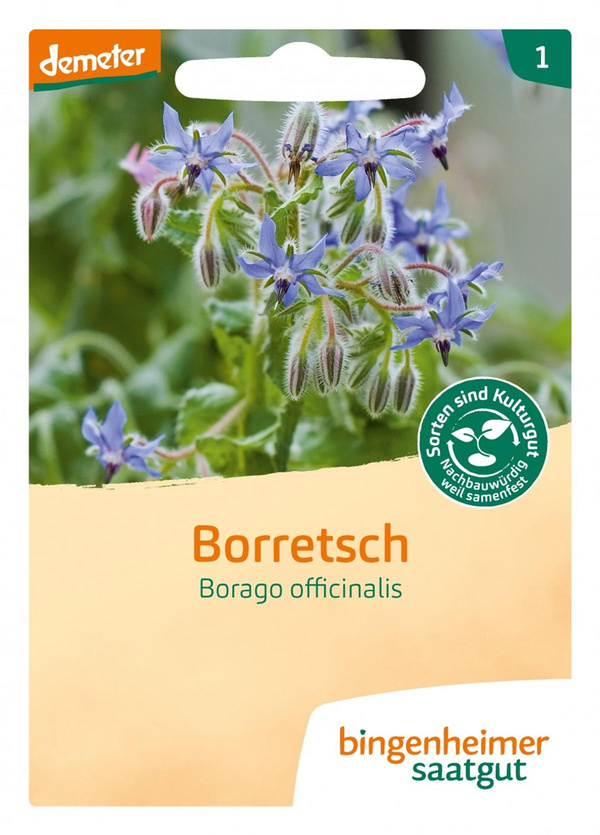 Produktfoto zu Borretsch