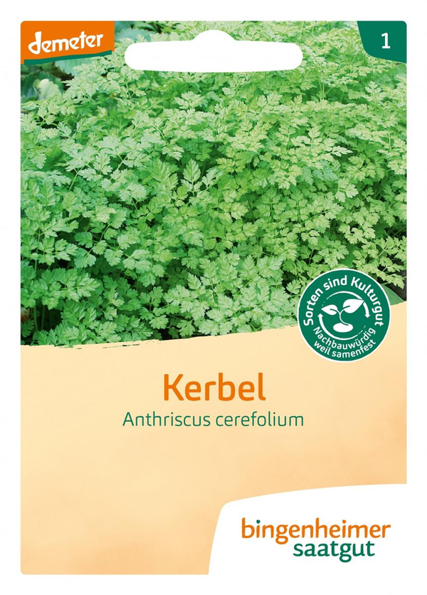 Produktfoto zu Kerbel