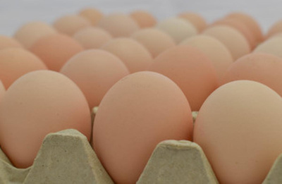 Produktfoto zu Eier Bio 10 Stück