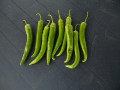 Produktfoto zu Peperoni
