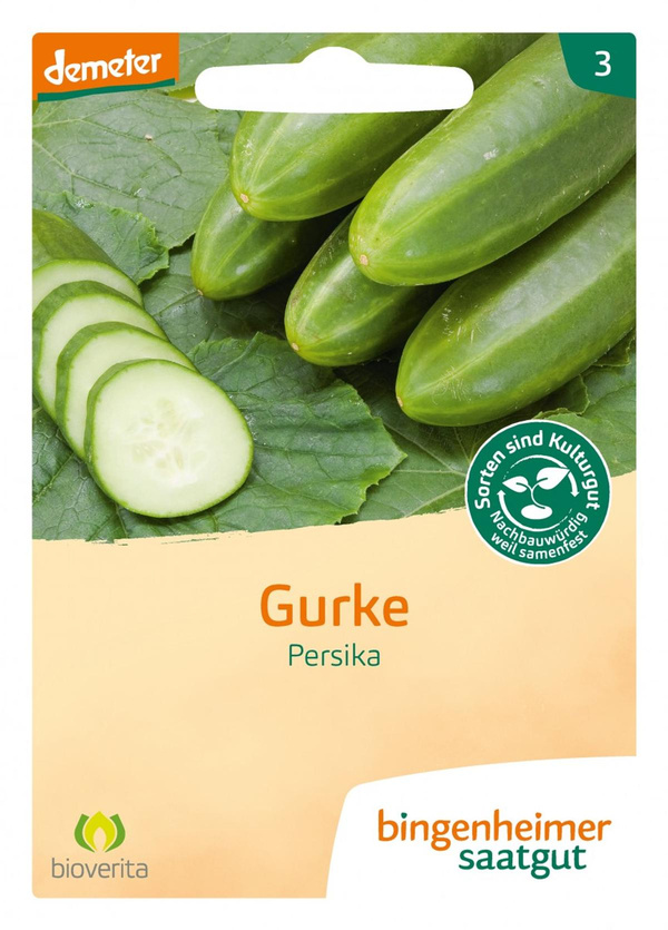 Produktfoto zu Freilandgurke Persika
