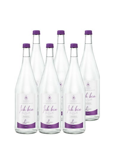 Produktfoto zu Ich bin Quelle Wasser 6er Kast