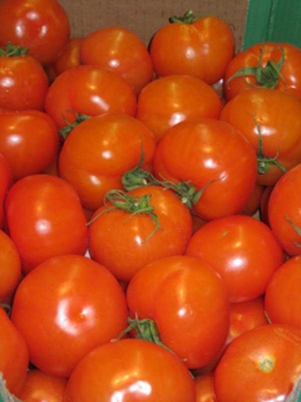 Produktfoto zu Tomaten EIGEN