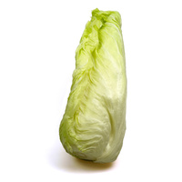 Zuckerhut