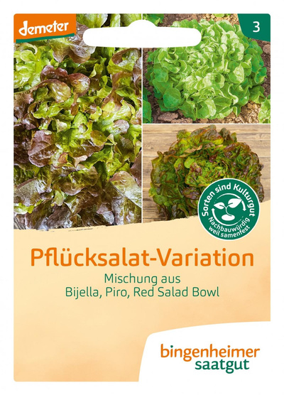 Produktfoto zu Pflücksalat-Variationen