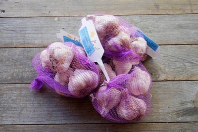 Produktfoto zu Knoblauch frisch