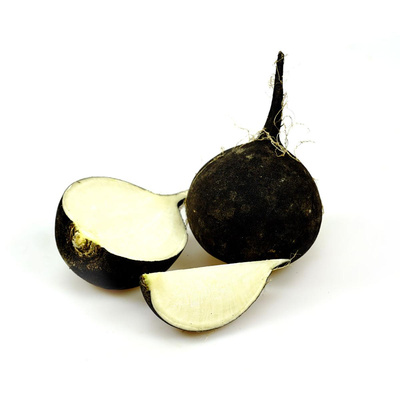 Produktfoto zu Rettich schwarz eigener Anbau
