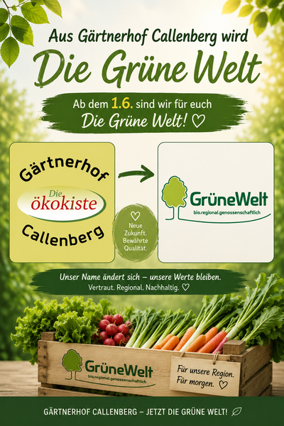 KI generiert: Das Bild zeigt zwei Personen, die eine grüne Kiste mit frischem Obst und Gemüse halten. Der Text bewirbt einen regionalen Bio-Lieferservice für diese Produkte.