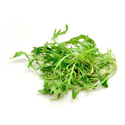 Produktfoto zu Rucola eigener Anbau