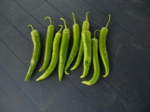 Produktfoto zu Peperoni