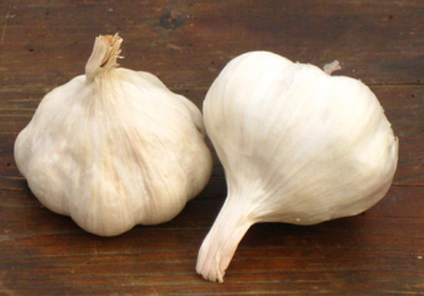 Produktfoto zu Knoblauch