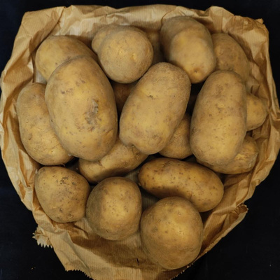 Produktfoto zu 2,5kg Tüte Kartoffeln fk eige