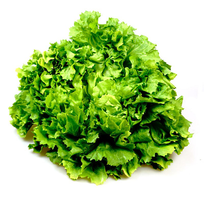 Produktfoto zu Salat aus eigenem Anbau