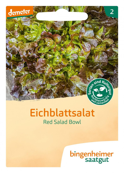 Produktfoto zu Eichblattsalat, Red Salad Bowl