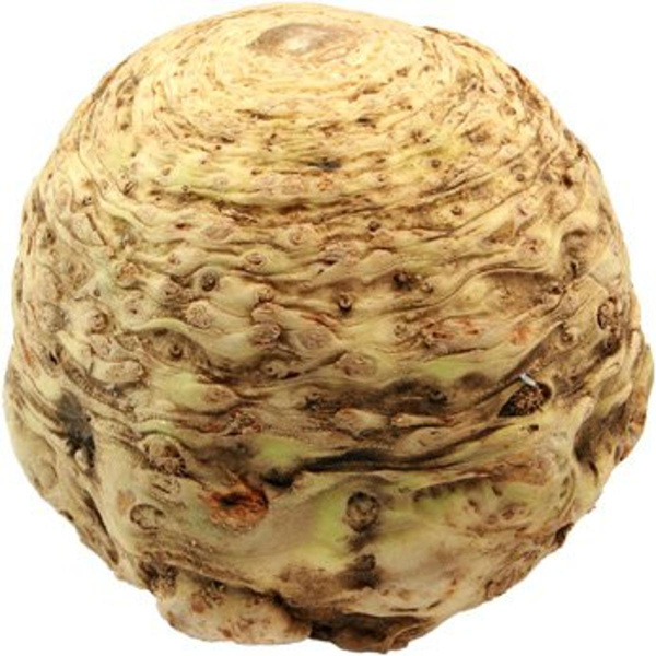 Produktfoto zu Sellerie