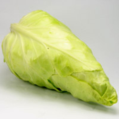 Produktfoto zu Spitzkohl Eigen