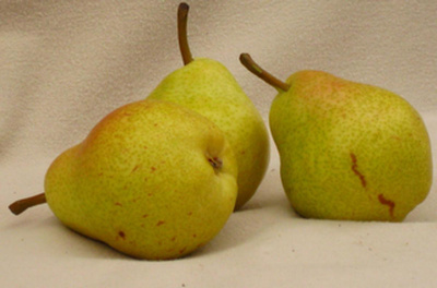 Produktfoto zu Birne Williams grün