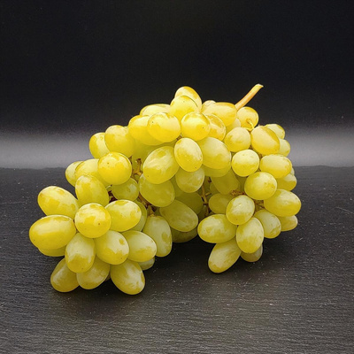 Produktfoto zu Traube weiß kernlos