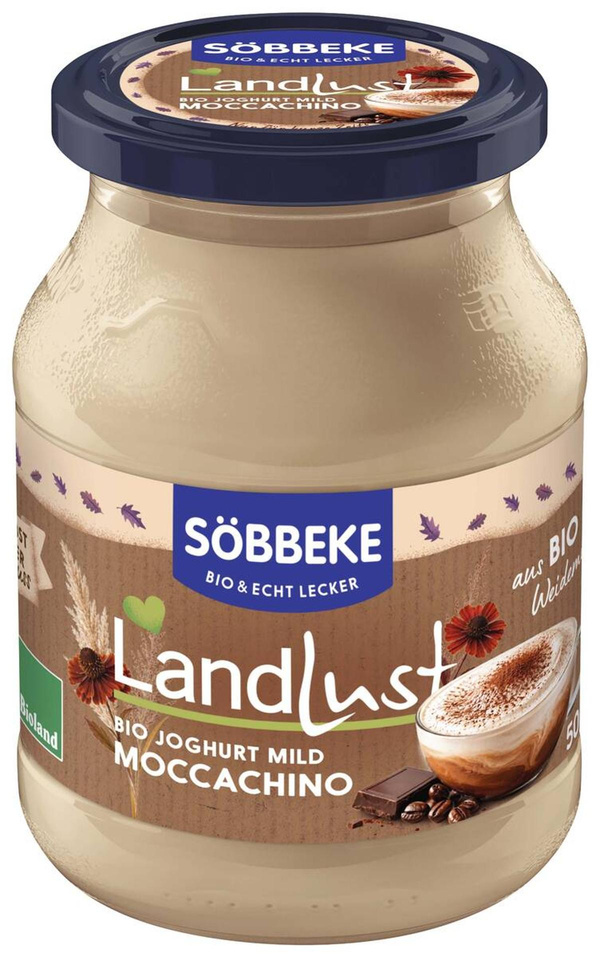 Produktfoto zu Winterjoghurt Moccachino SB