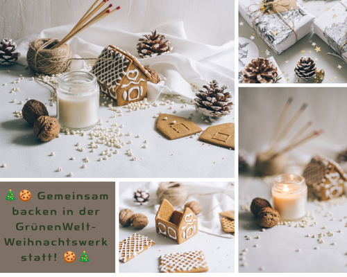 KI-generierte Beschreibung: Weihnachtsbäckerei mit Zimtstangen, Nüssen und Plätzchen. Text: "Gemeinsam backen in der GrünenWelt-Weihnachtswerkstatt statt!"