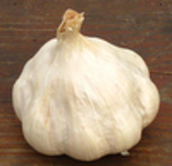 Produktfoto zu Knoblauchbündchen eigener Anba