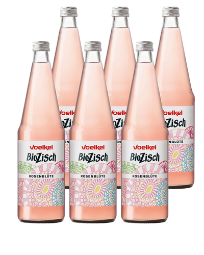 Produktfoto zu 6er-Kasten Zisch Rosenblüte