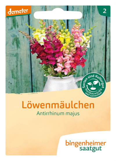 Produktfoto zu Löwenmäulchen