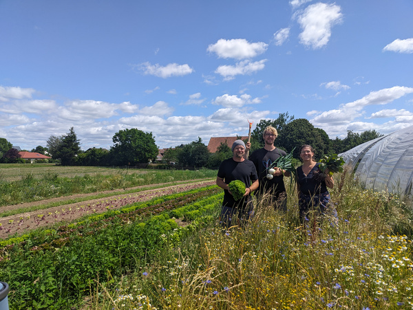 KI generiert: Drei Personen stehen auf einem Feld mit Gemüse in der Hand, blauer Himmel im Hintergrund.